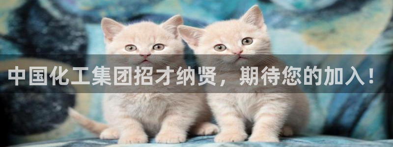 球盟会网址