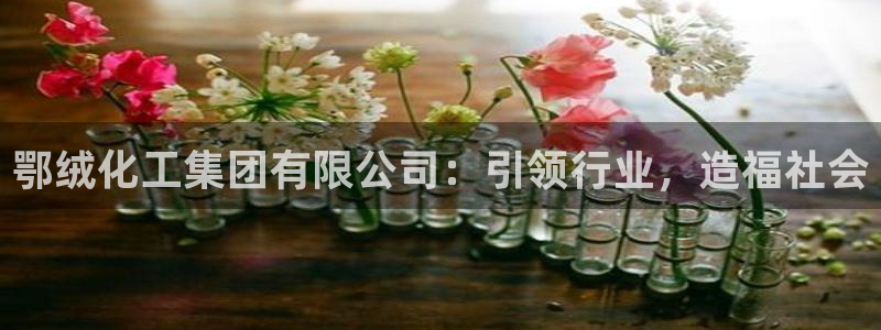 球盟会乐虎