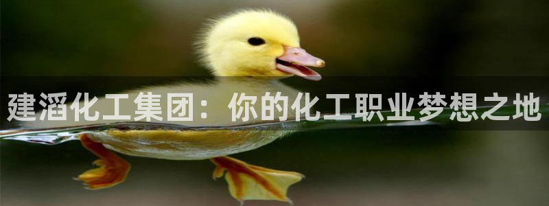 球盟会电子好黑