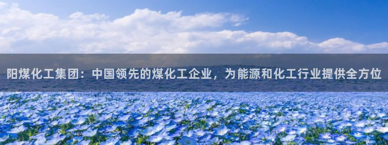 球盟会黑台子吗：阳煤化工集团：中国领先的煤化工企业，为能源和