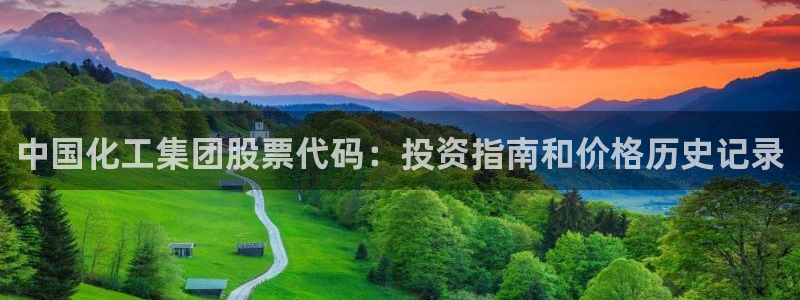 球盟会下载最新版：中国化工集团股票代码：投资指南和价格历史记