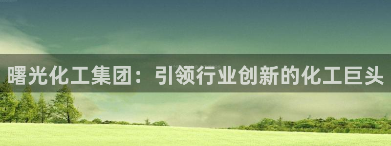 球盟会电子游戏平台：曙光化工集团：引领行业创新的化工巨头