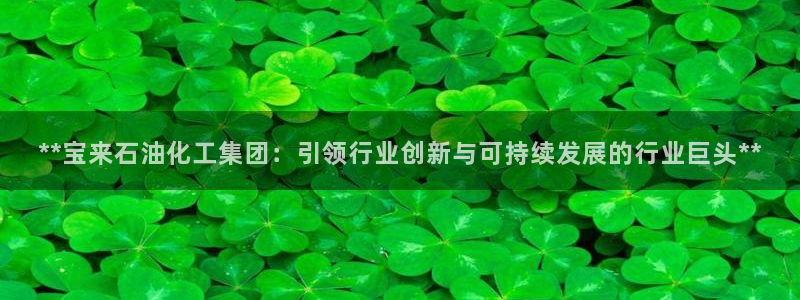 球盟会官方下载：**宝来石油化工集团：引领行业创新与可持续发