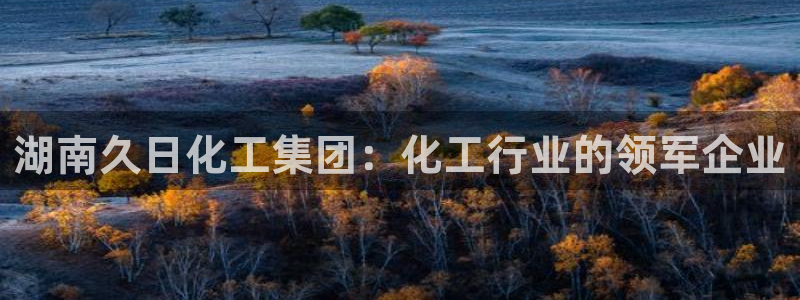 球盟会国际官网