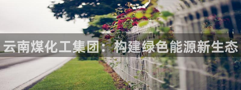球盟会黑款吗是真的吗：云南煤化工集团：构建绿色能源新生态