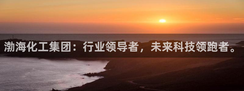 球盟会体育平台：渤海化工集团：行业领导者