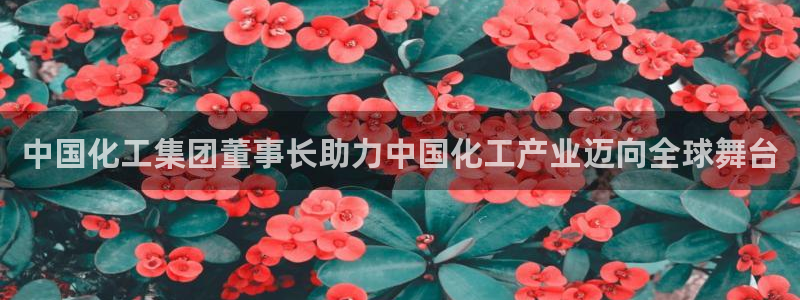 球盟会黑钱：中国化工集团董事长助力中国化
