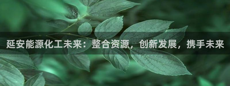 球盟会官网入口：延安能源化工未来：整合资