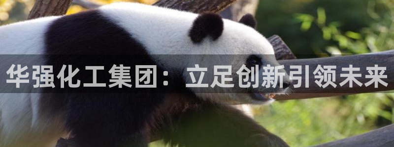 球盟会类似的网站：华强化工集团：立足创新引领未来
