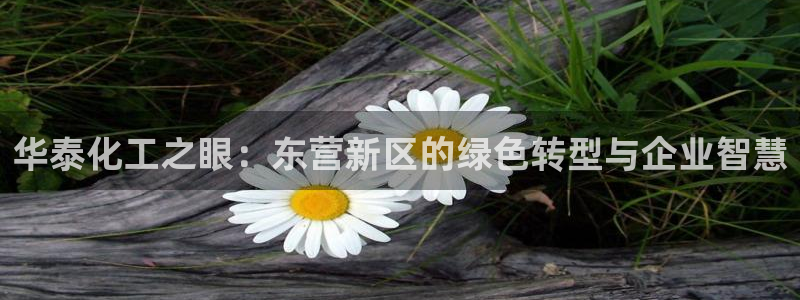 球盟会平台会黑单吗：华泰化工之眼：东营新