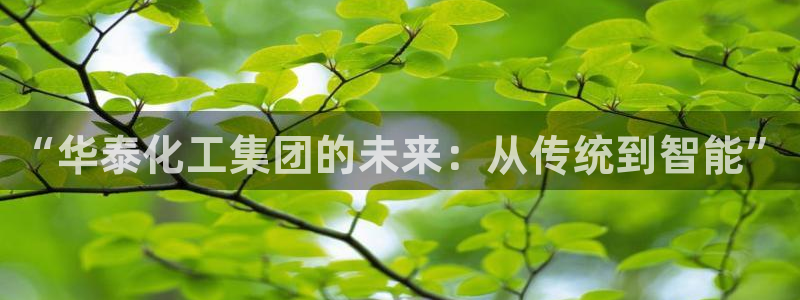 球盟会官方网页登录：“华泰化工集团的未来：从传统到智能”