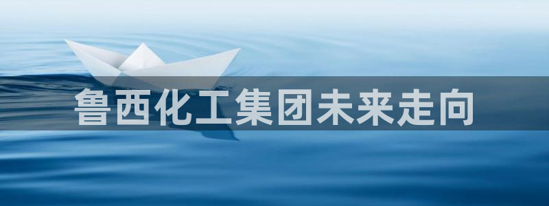 球盟会体验金球奖吗：鲁西化工集团未来走向