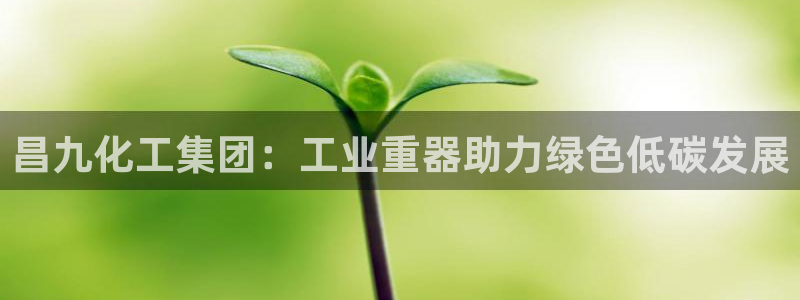 球盟会有没有黑单的球员：昌九化工集团：工业重器助力绿色低碳发
