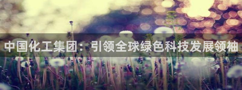 球盟会官方客服：中国化工集团：引领全球绿色科技发展领袖