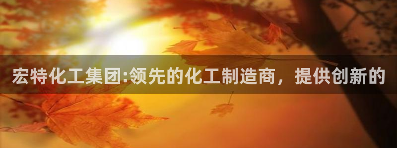 球盟会官方：宏特化工集团:领先的化工制造商，提供创新的
