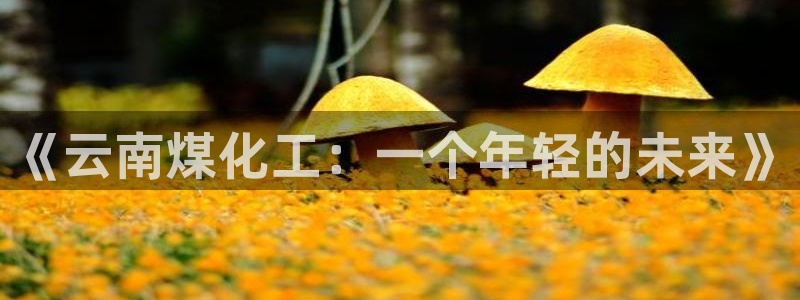 球盟会官方登录平台：《云南煤化工：一个年轻的未来》