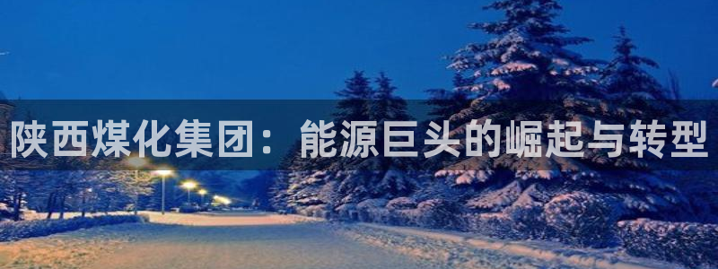 球盟会app网址多少