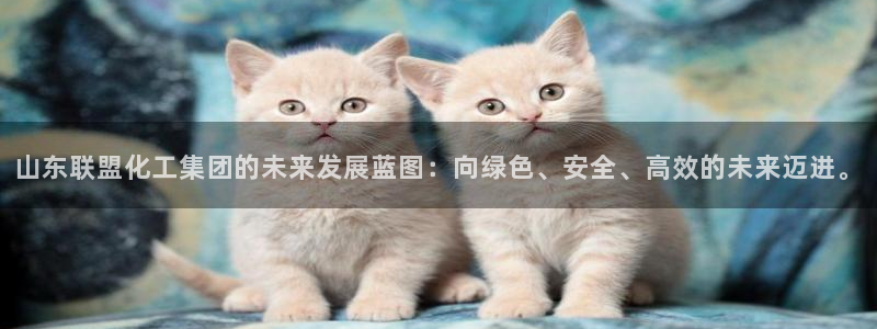 球盟会有没有黑单的人：山东联盟化工集团的未来发展蓝图：向绿色