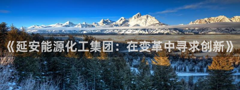 球盟会APP最新地址：《延安能源化工集团：在变革中寻求创新》