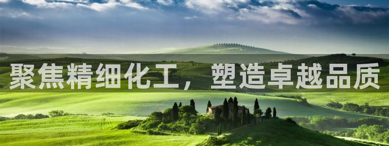 球盟会黑台子：聚焦精细化工，塑造卓越品质