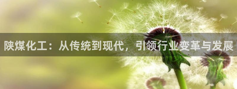 球盟会登陆入口：陕煤化工：从传统到现代，引领行业变革与发展