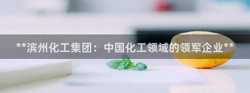球盟会官方客服：**滨州化工集团：中国化工领域的领军企业**