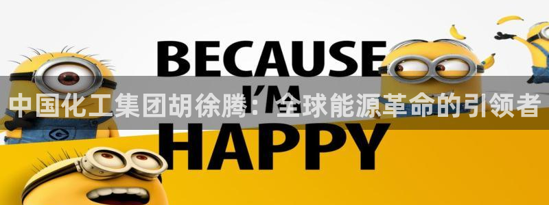球盟会app最新地址下载：中国化工集团胡徐腾：全球能源革命的