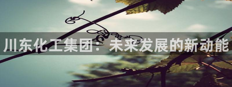 球盟会能提现吗