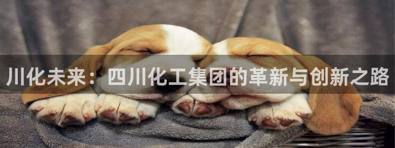 球盟会能退钱吗知乎：川化未来：四川化工集团的革新与创新之路