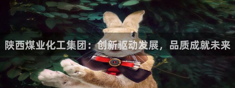 球盟会网页登录：陕西煤业化工集团：创新驱动发展，品质成就未来