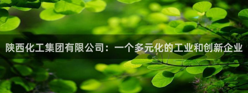 球盟会能提现吗安全吗：陕西化工集团有限公司：一个多元化的工业