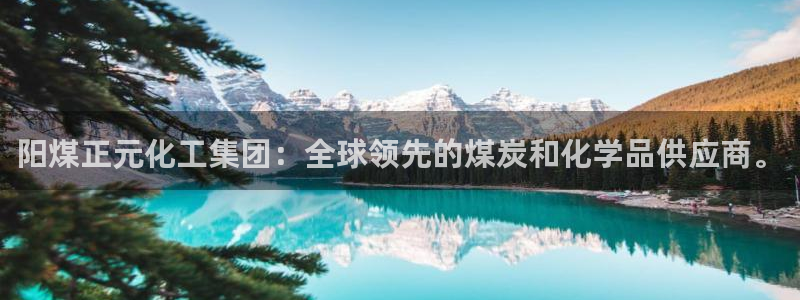 球盟会入口：阳煤正元化工集团：全球领先的煤炭和化学品供应商。