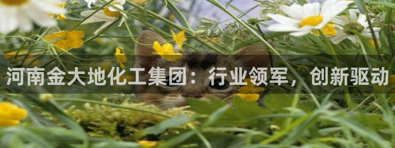 球盟会最新