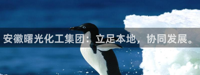 球盟会优惠领取网站是真的吗：安徽曙光化工集团：立足本地，协同