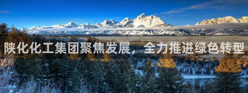 球盟会官方入口