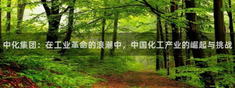 球盟会官方版下载地址：中化集团：在工业革