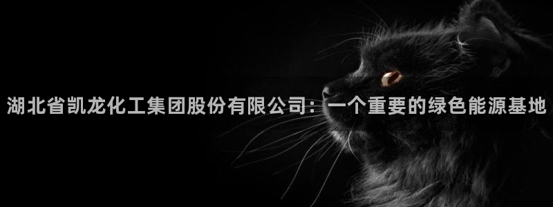 球盟会黑台子吗：湖北省凯龙化工集团股份有