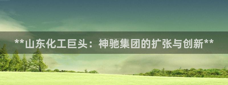 球盟会里面有打牌的嘛知乎：**山东化工巨头：神驰集团的扩张与