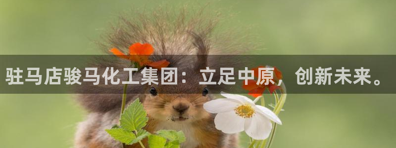球盟会app手机登录：驻马店骏马化工集团：立足中原，创新未来