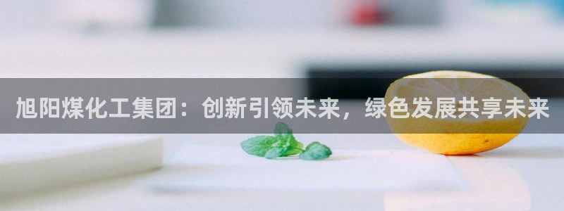球盟会qmh网址：旭阳煤化工集团：创新引领未来，绿色发展共享