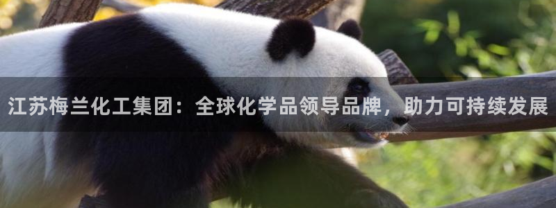 球盟会qmh官网：江苏梅兰化工集团：全球化学品领导品牌，助力