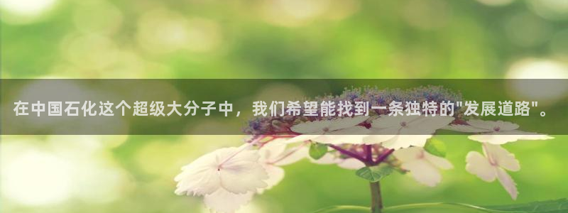 球盟会能提现吗安全吗：在中国石化这个超级大分子中，我们希望能