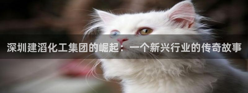 球盟会地址：深圳建滔化工集团的崛起：一个新兴行业的传奇故事