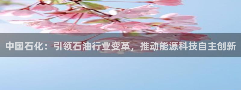 球盟会登录入口：中国石化：引领石油行业变革，推动能源科技自主