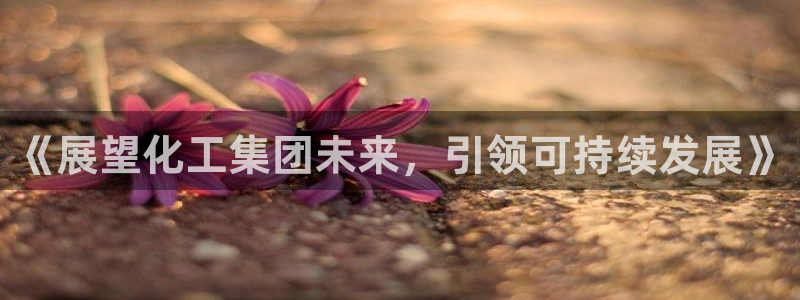 球盟会登陆中心：《展望化工集团未来，引领可持续发展》