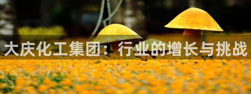 球盟会qmh网页版登录 - qm球盟会官方网站：大庆化工集团