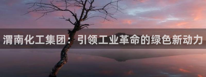 球盟会有没有黑单的人：渭南化工集团：引领工业革命的绿色新动力
