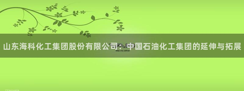 球盟会官网：山东海科化工集团股份有限公司：中国石油化工集团的