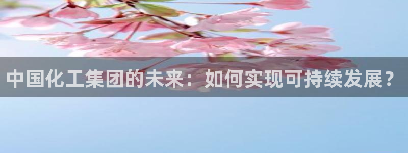 球盟会qmh网址：中国化工集团的未来：如何实现可持续发展？