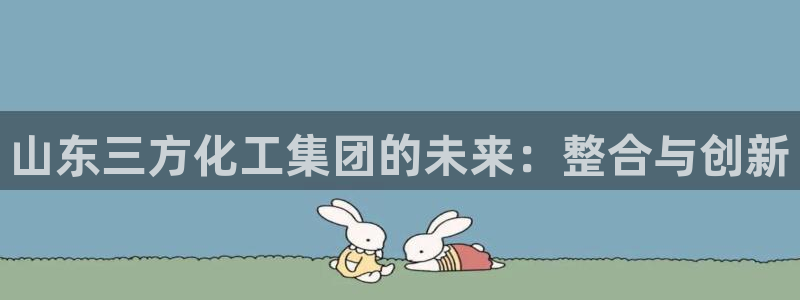 球盟会黑款吗知乎：山东三方化工集团的未来：整合与创新